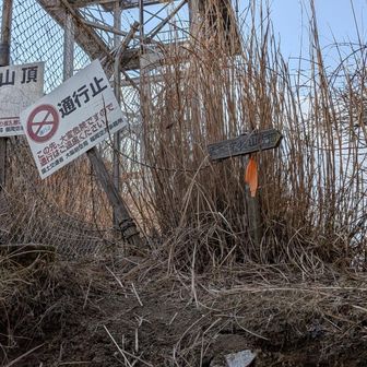 ここからなんか元気出てきてスピードアップ🤩