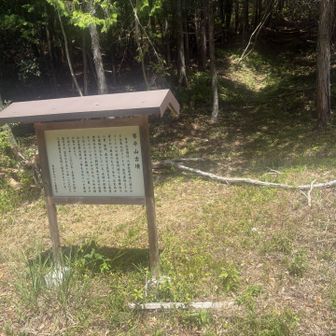 ここから琴平山へ