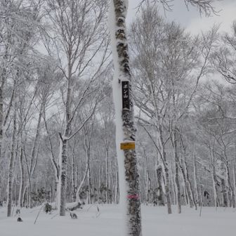 ポン山着❗
スマホのバッテリー残量やばしでモバイルバッテリーに繋ぐも、低温でモバイルバッテリーも切れちゃう💦💦
結局、モバイルバッテリーをズボンのポッケに入れて体温で温めながら充電。
スマホ復活✨
でも、近々スマホ入れ替えしないとだなーと考え中。
スマホ丸５年使用中
