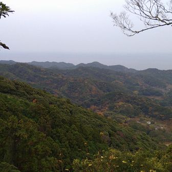 展望は良いとはいえないが、房総の山々は眺めることが出来る。