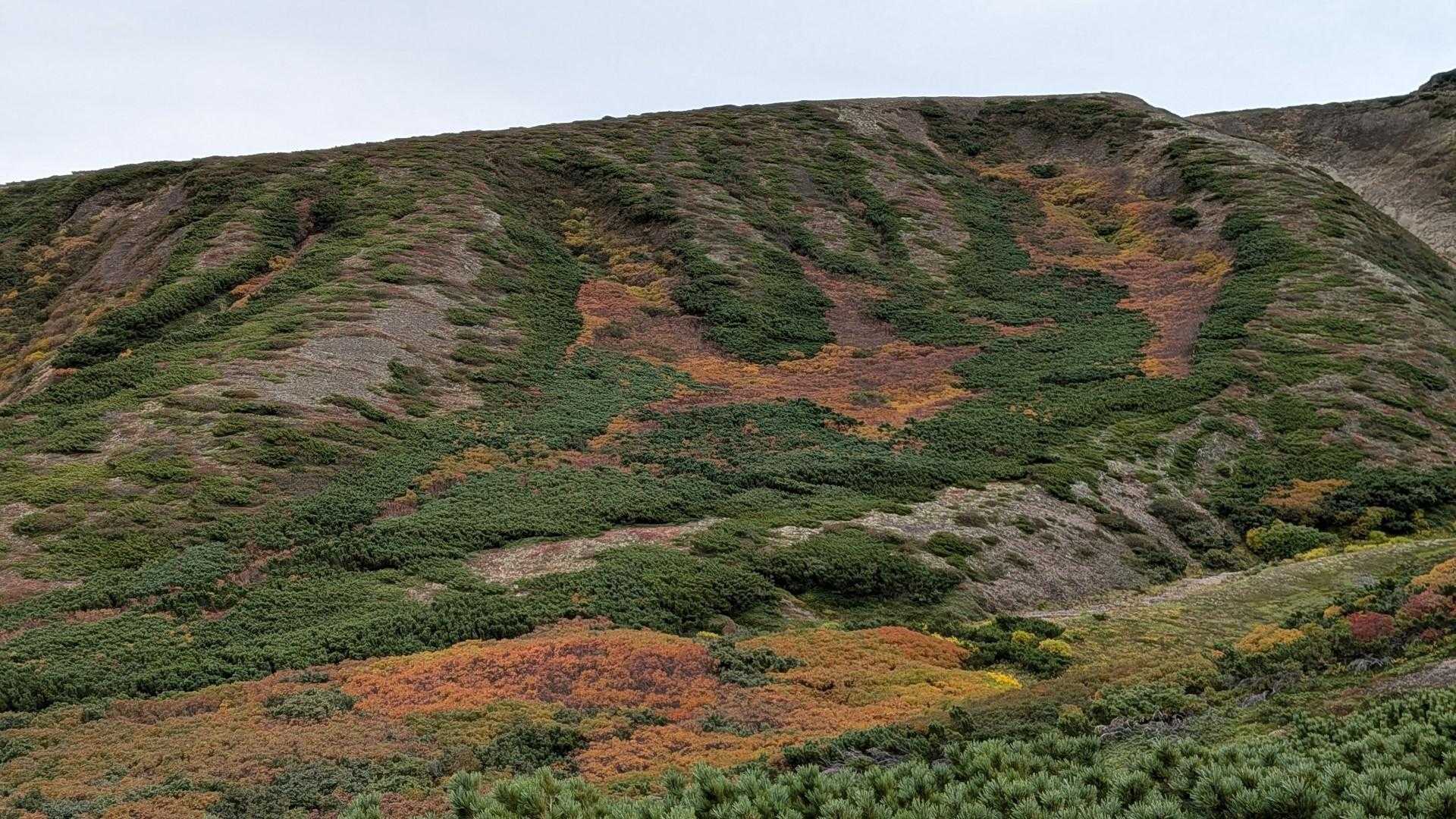 七合目登山事務所-黒岳-北海岳 往復コースの写真