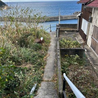 離島ならでは細い道を進む。ほぼ民家？