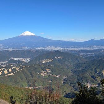晴海展望台へ戻って見納めの一枚📸