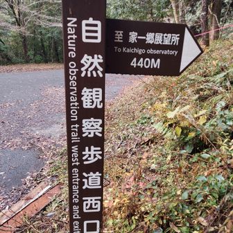 さようなら家一郷山👋
次に来るのはいつだろうね😁