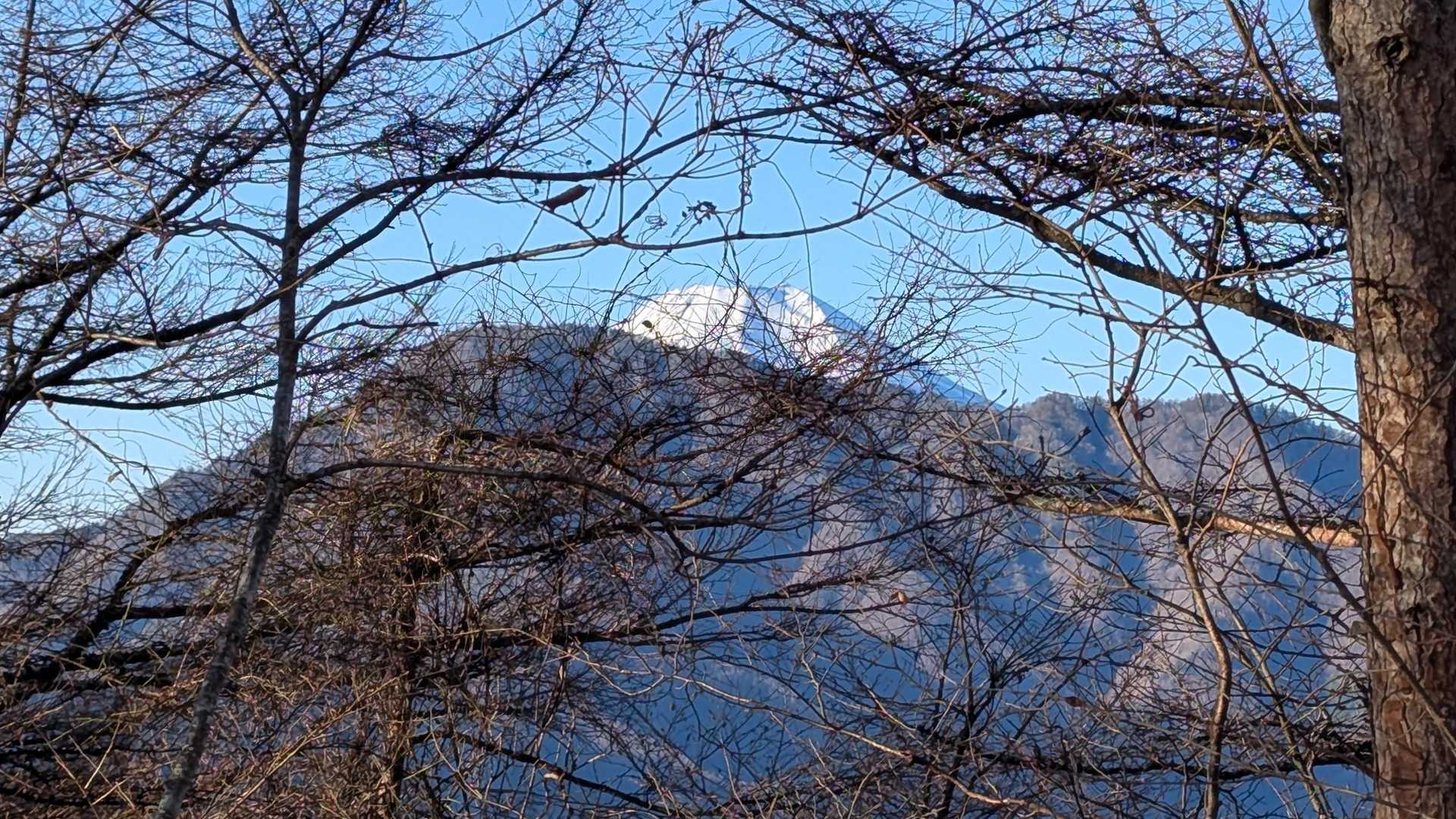 今日の富士山は期待できそう