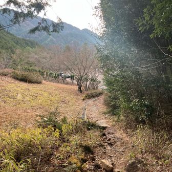 坂の下に🅿️が見えてきた。👀