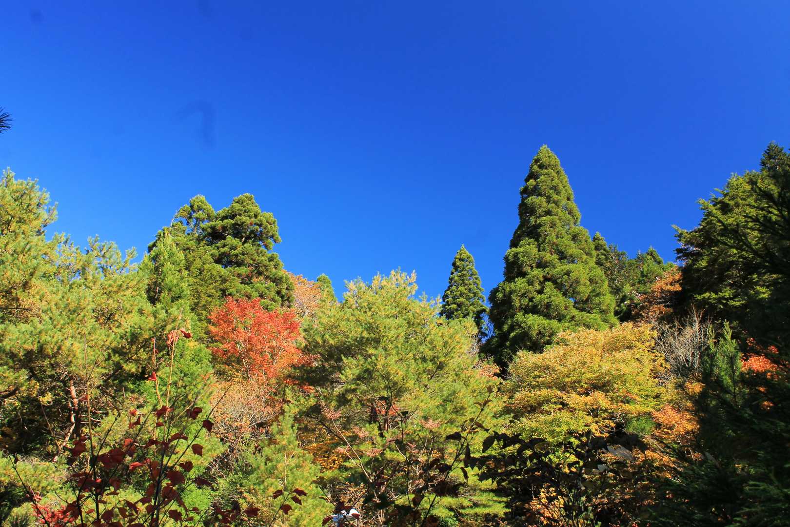 武平峠まで降りてきました‼️
青空濃い〜😃