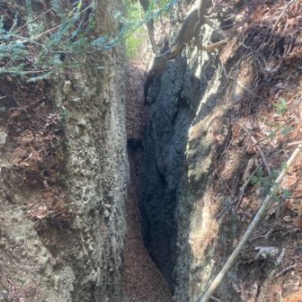 ロングトレイル上の地割1