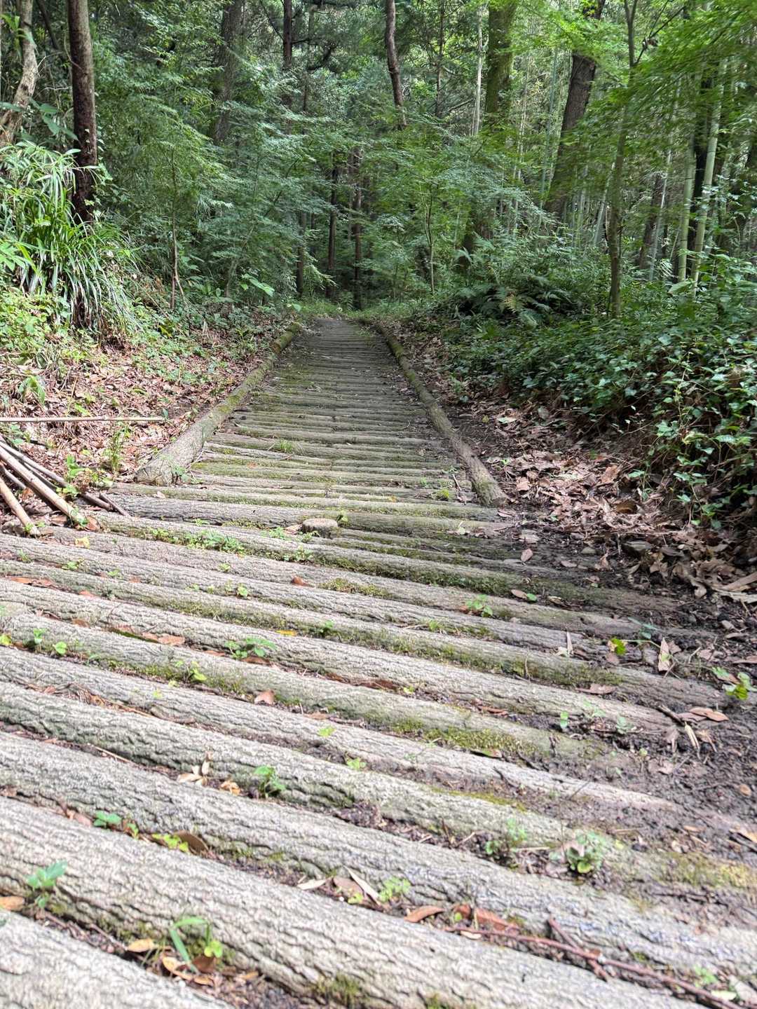 登山口。