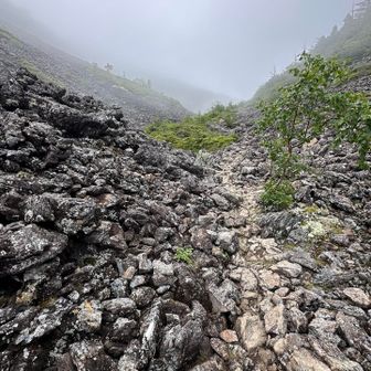 大きな岩がごろごろと転がっている...
歩きにくい