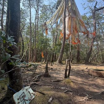 とりあえずChatGPTに聞いてみたところ、明確な答えはなさそう

まとめ
	•	深山のパラシュートは事故・落下物の残骸の可能性が高い
	•	回収が難しく、そのまま残り続けている
	•	現在はちょっとした“謎スポット”的存在