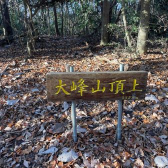 山頂到着。
景色はなかった。