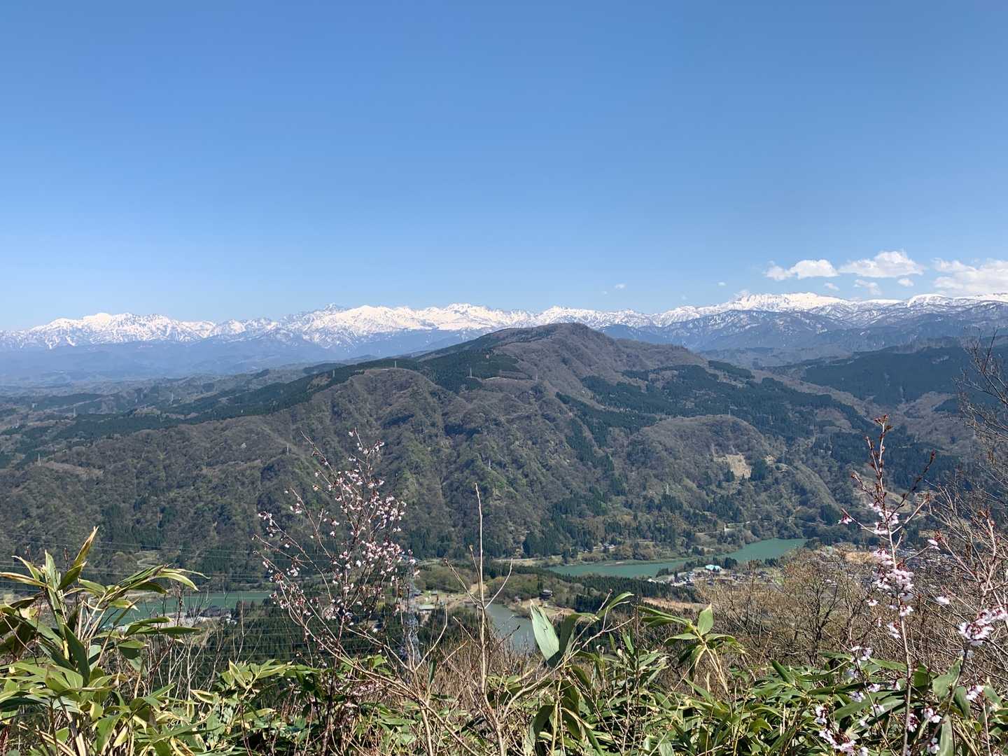 先程登った小佐波御前山と北アルプスを眺めながら
やっとランチタイムです😋