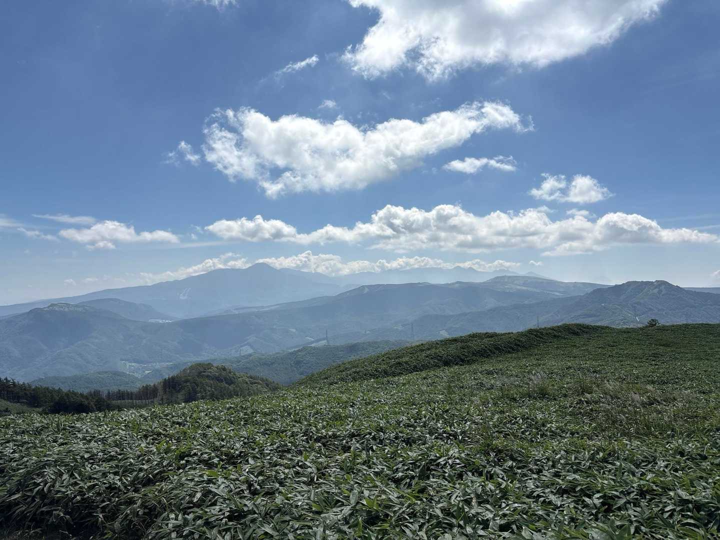 三峰山 往復コースの写真