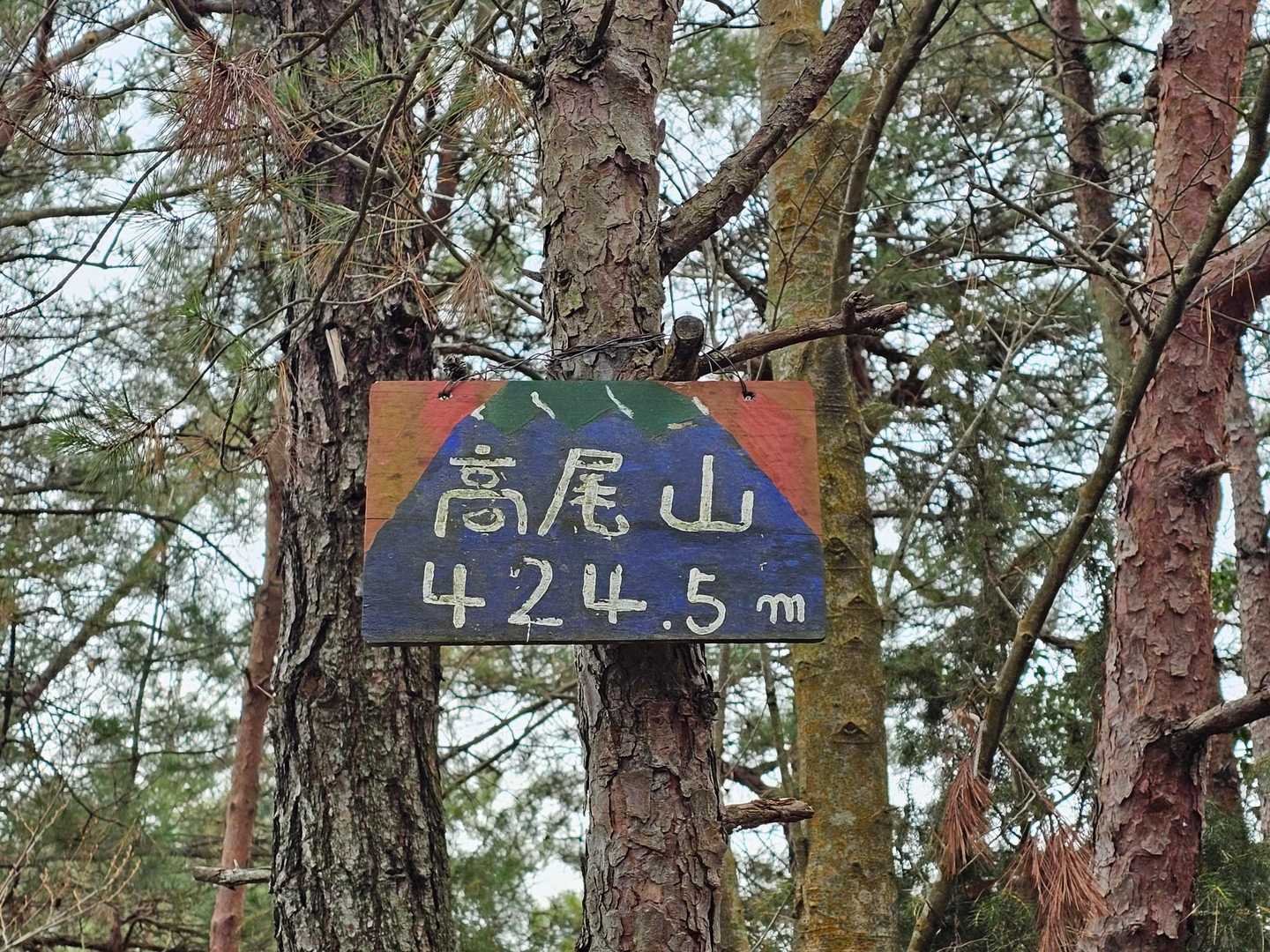 山頂⛰️