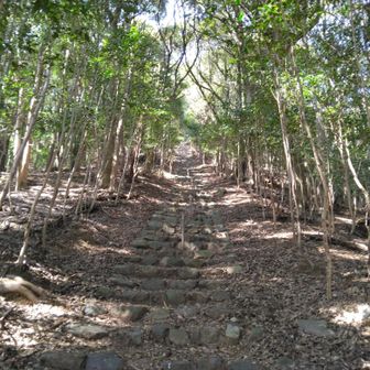 巻き道使わず階段で体力つけます