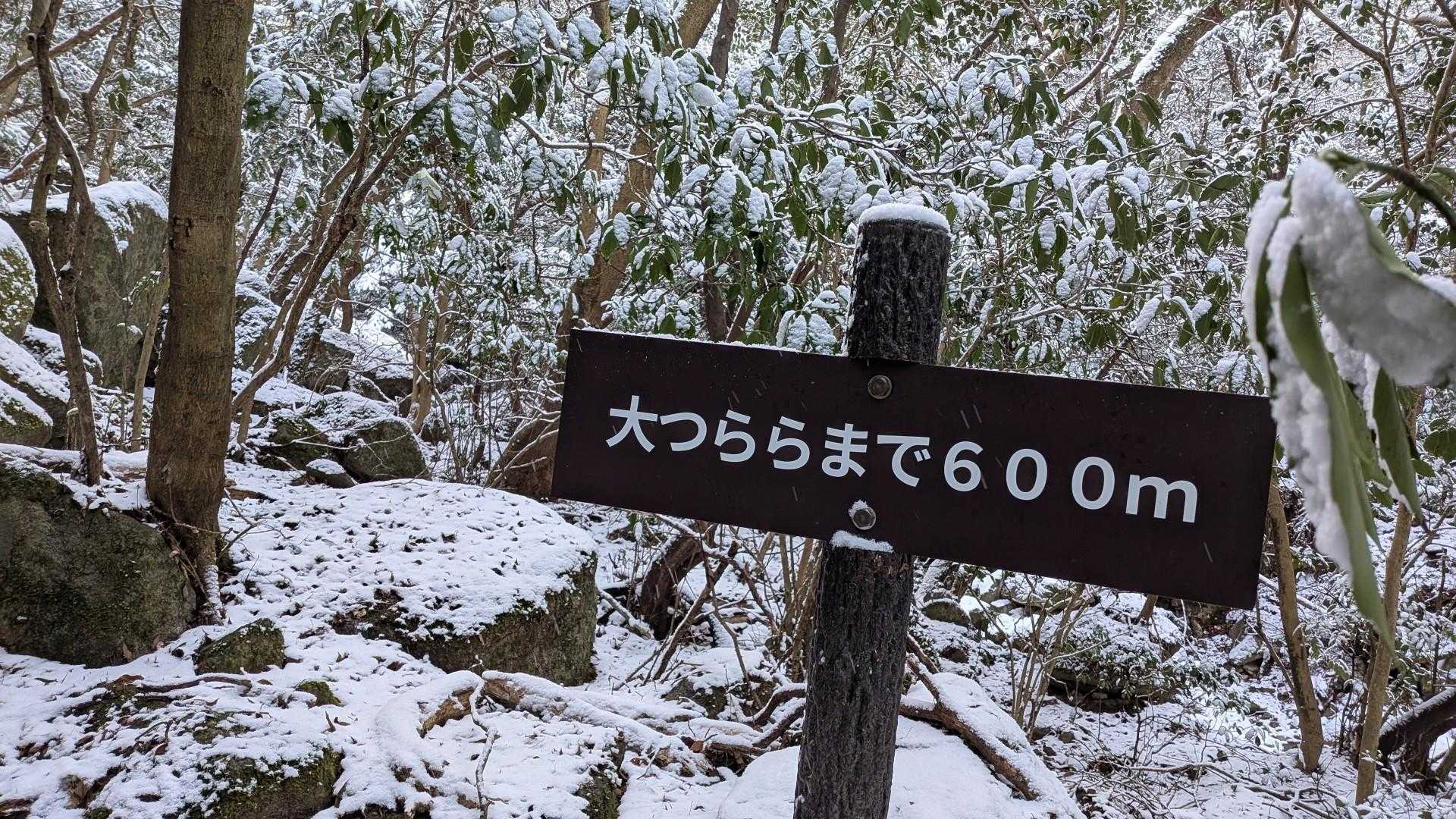 この辺から積雪☃