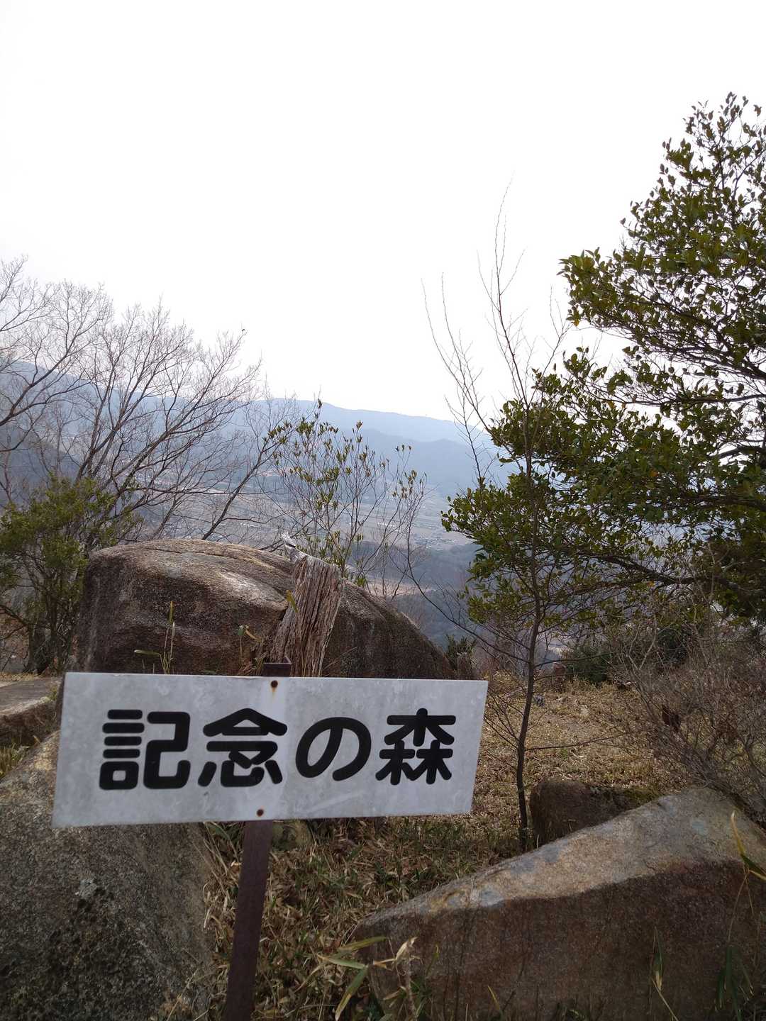 記念の森
見晴らしが良いです