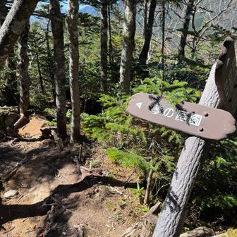 下山道で夢の楽園コースを巡りました