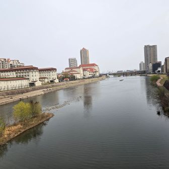 武庫川。むかし、もう少し下流の近くに住んでました