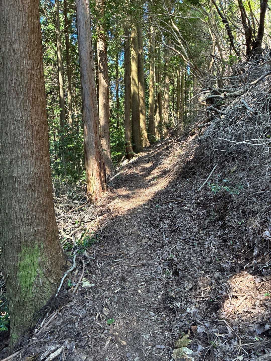 丹助岳 周回コースの写真