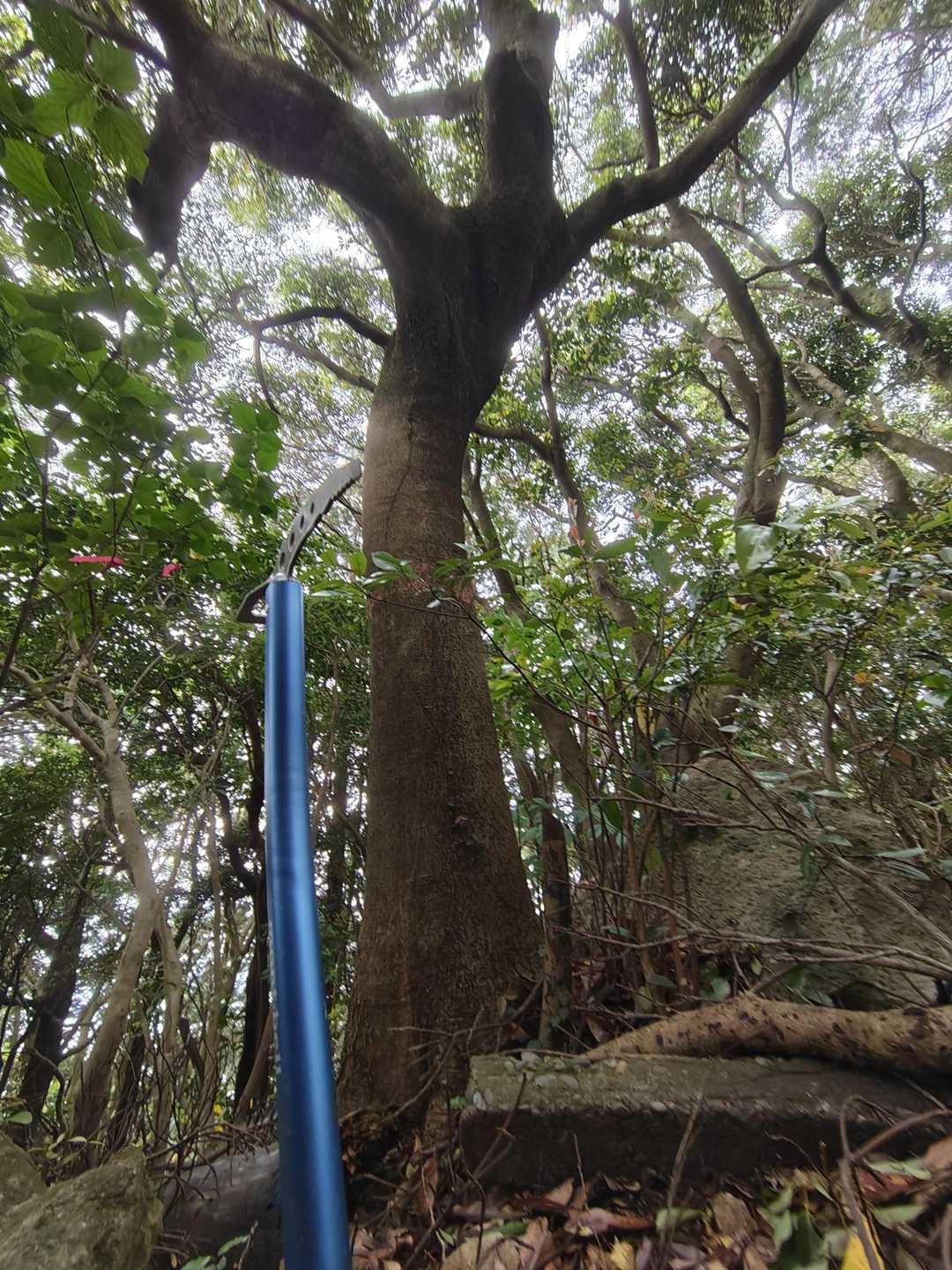竈岳-猿葉山 往復コースの写真
