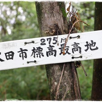 根本山 275mは太田市標高最高地点。