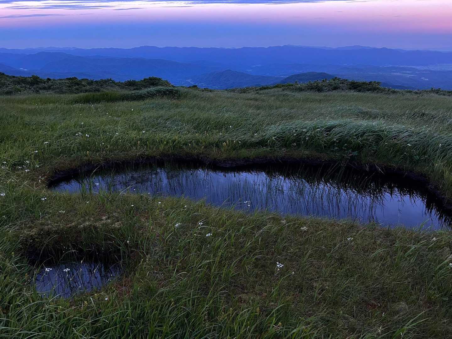 池塘が美しい