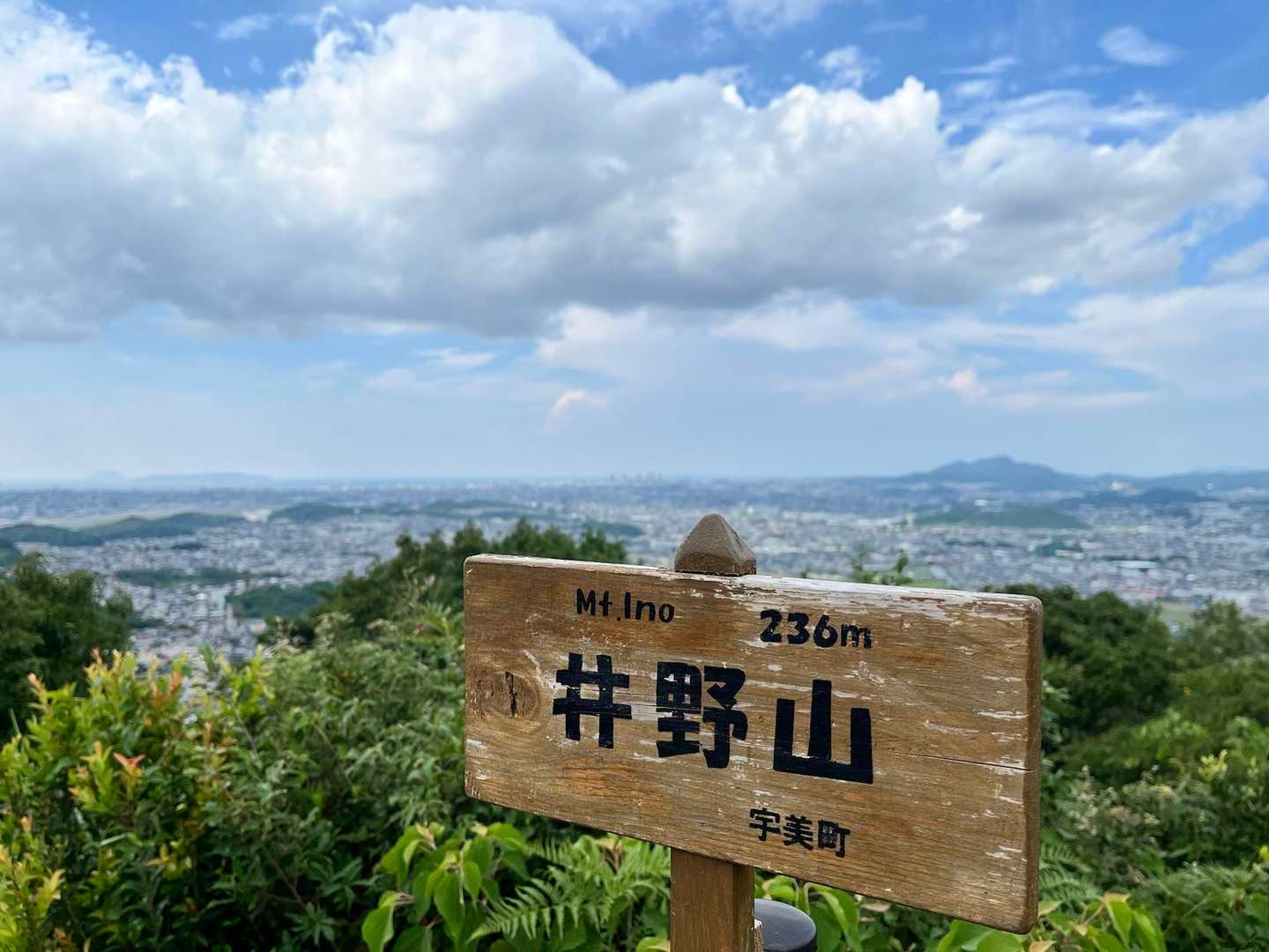 井野山 往復コースの写真