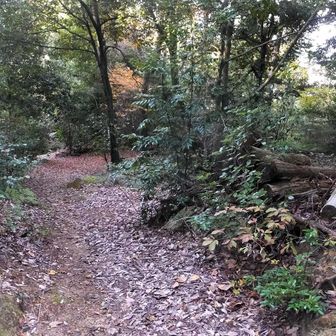 ちょっと西の枝道へ