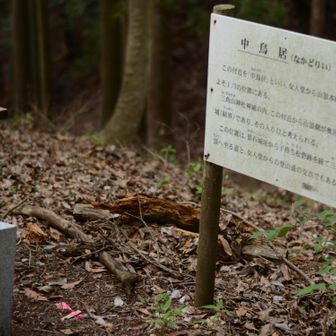 七丁