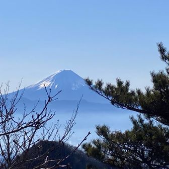 金ヶ岳登頂〜🙌🏻

また富士山撮って