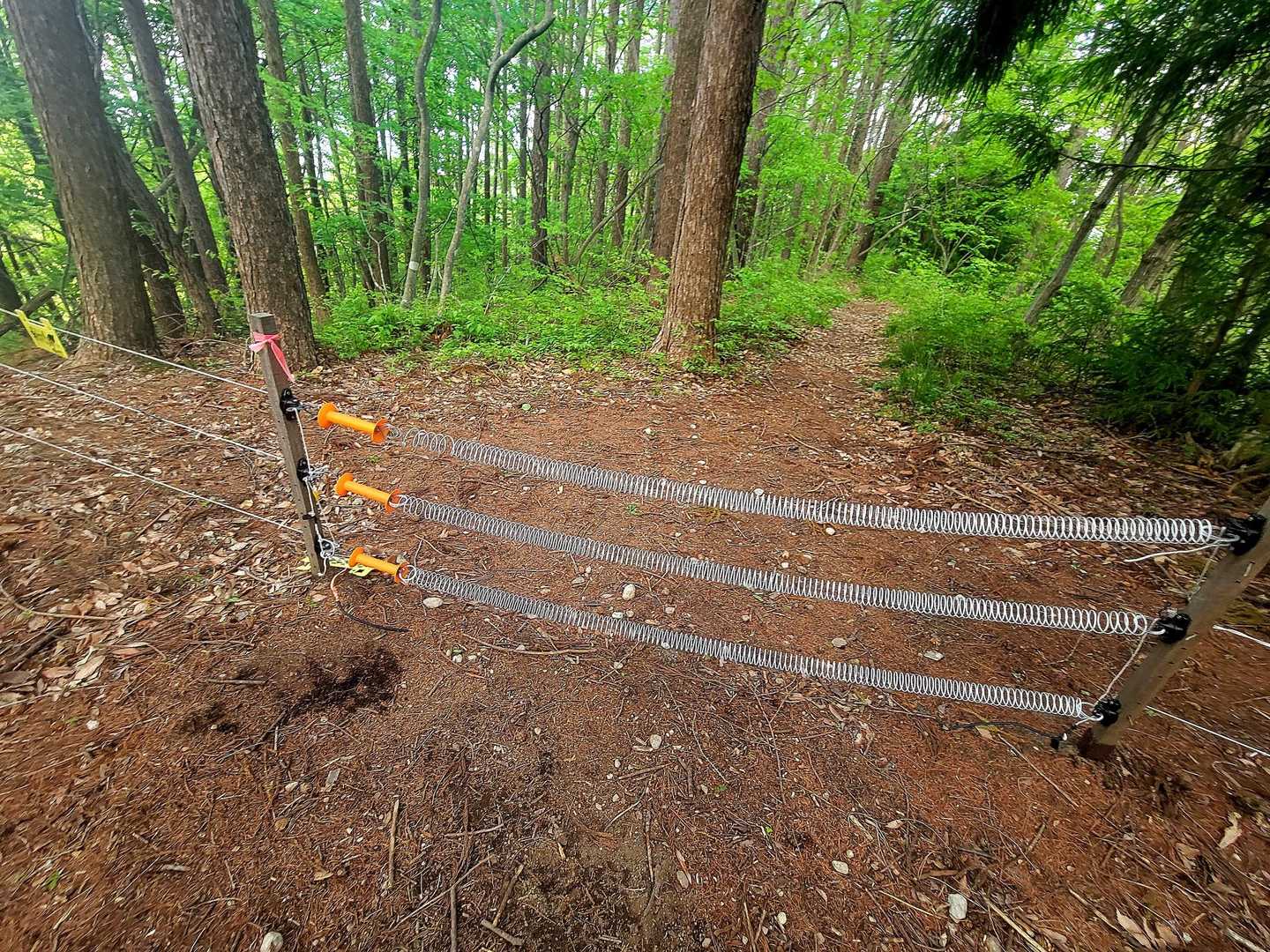 獣避けの電気柵を跨いで乗り越える😅😅