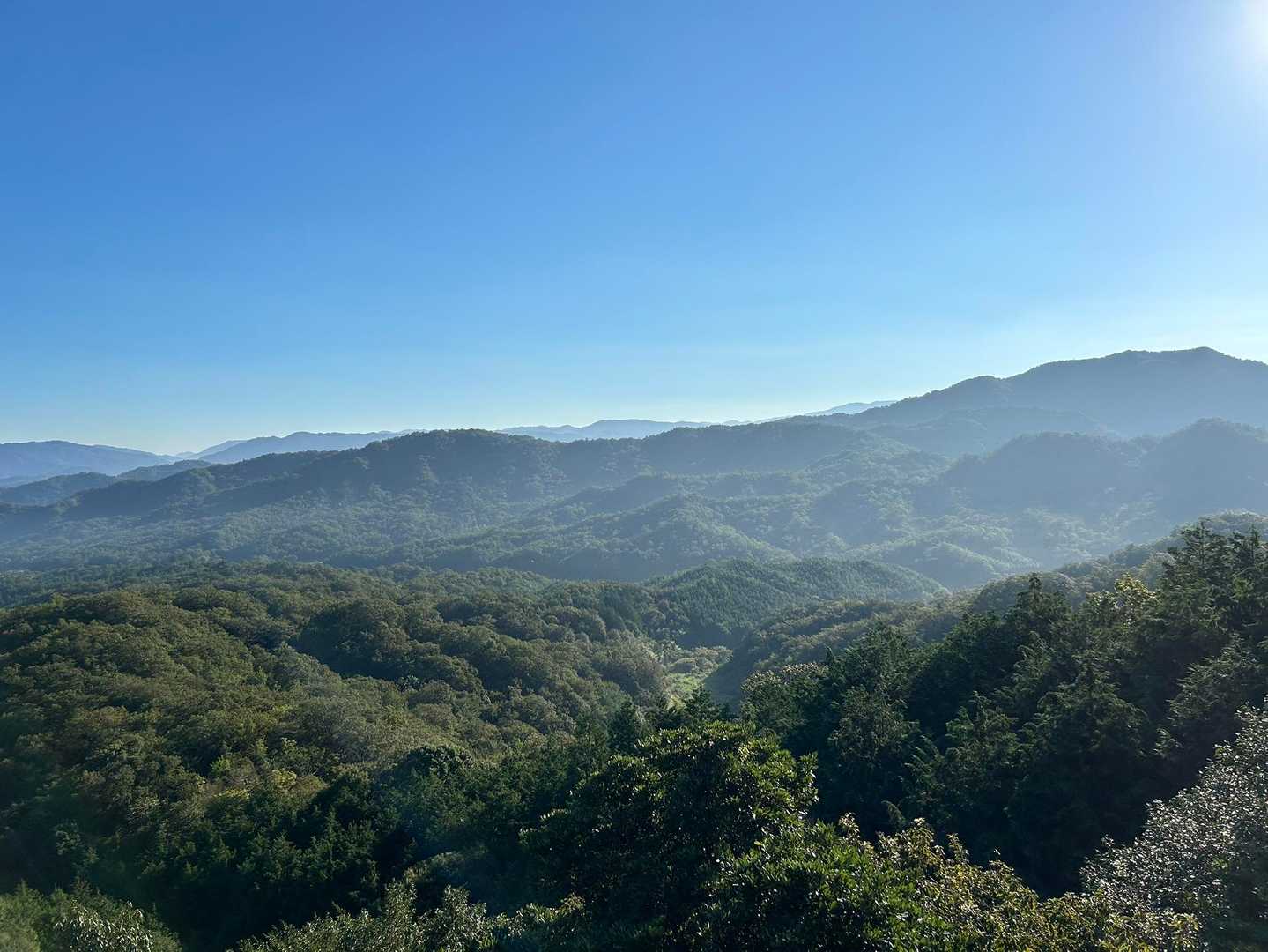 白石山登山口-白石山 往復コースの写真