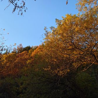 祈願登山
どうかお仲間さんに幸運あれ🙏
んでもって、みんなでお礼参りにまた来よう‼️