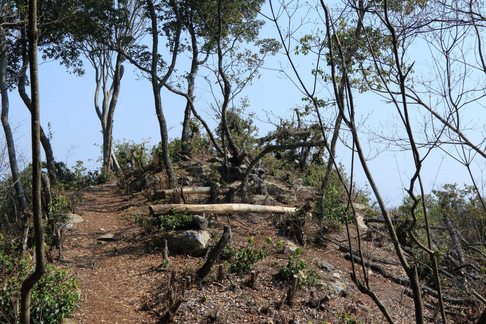 大坂山に到着