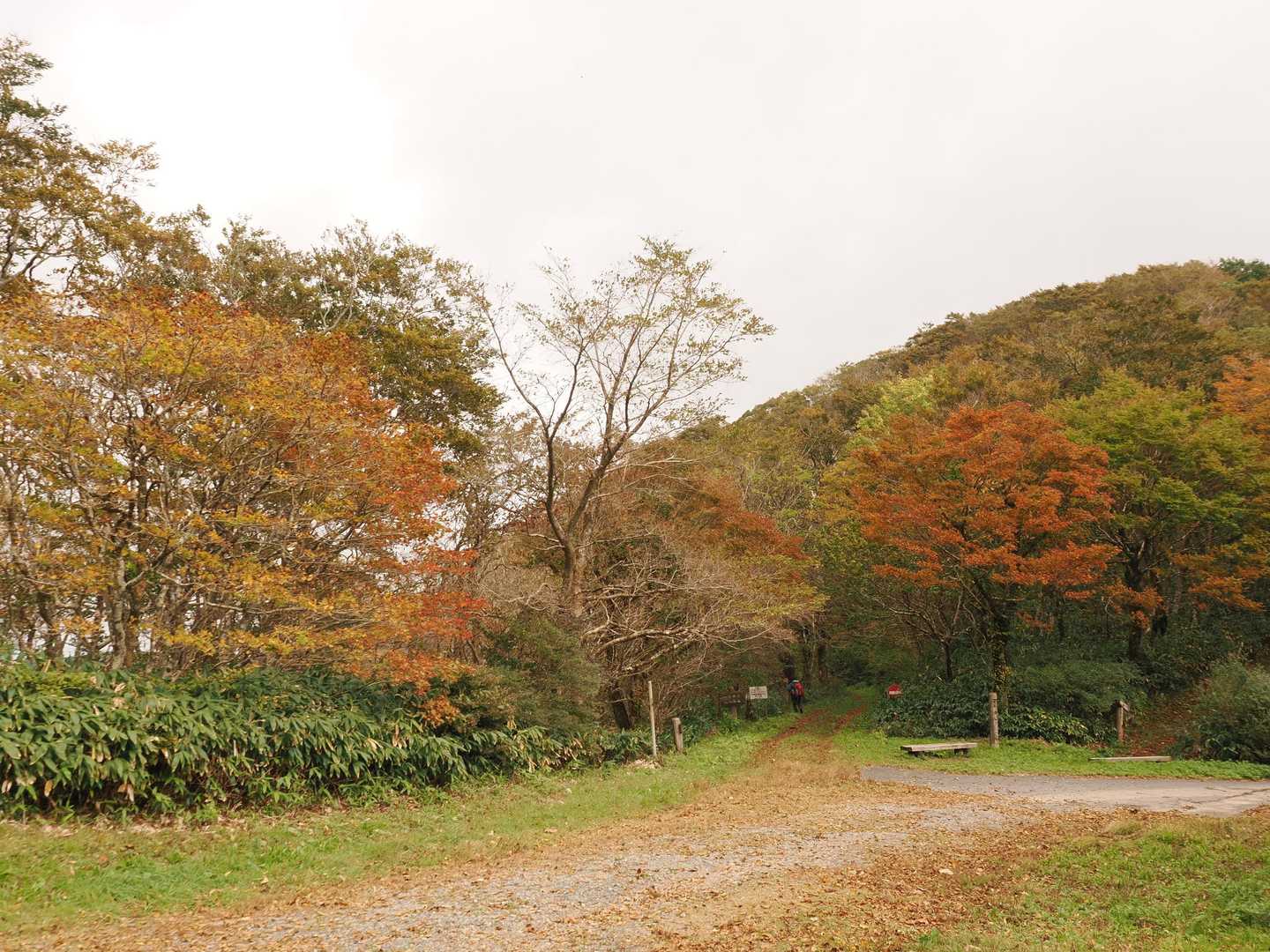 竜王山-立烏帽子山-池ノ段 往復コースの写真