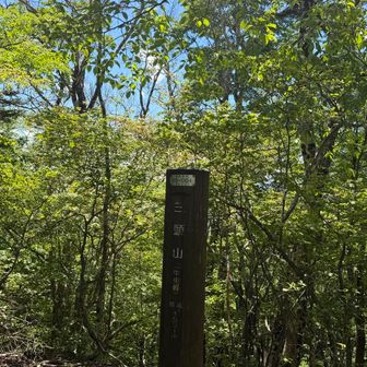 ランチを終え、三頭山残りのピーク中央峰へ😆
眺望ありません😭