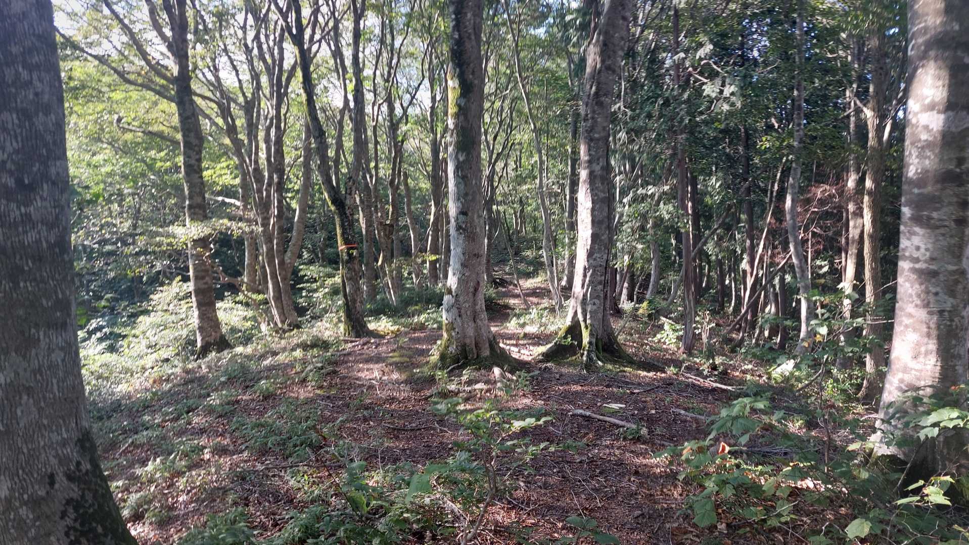 頑張って帰ります🏃💨