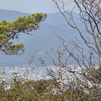 木のあいだから大文字の大の字が見えた。左大文字か、