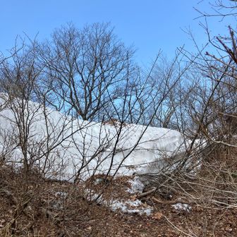 壁になってます