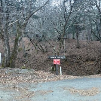 登山口までは舗装路