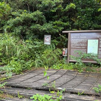 さて行くか✊しま山69座目です。