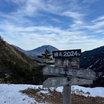 ここから分岐で菅沼に戻ります。