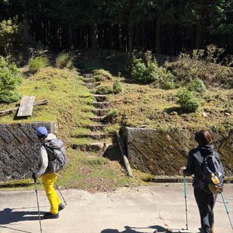 一旦道路を横断