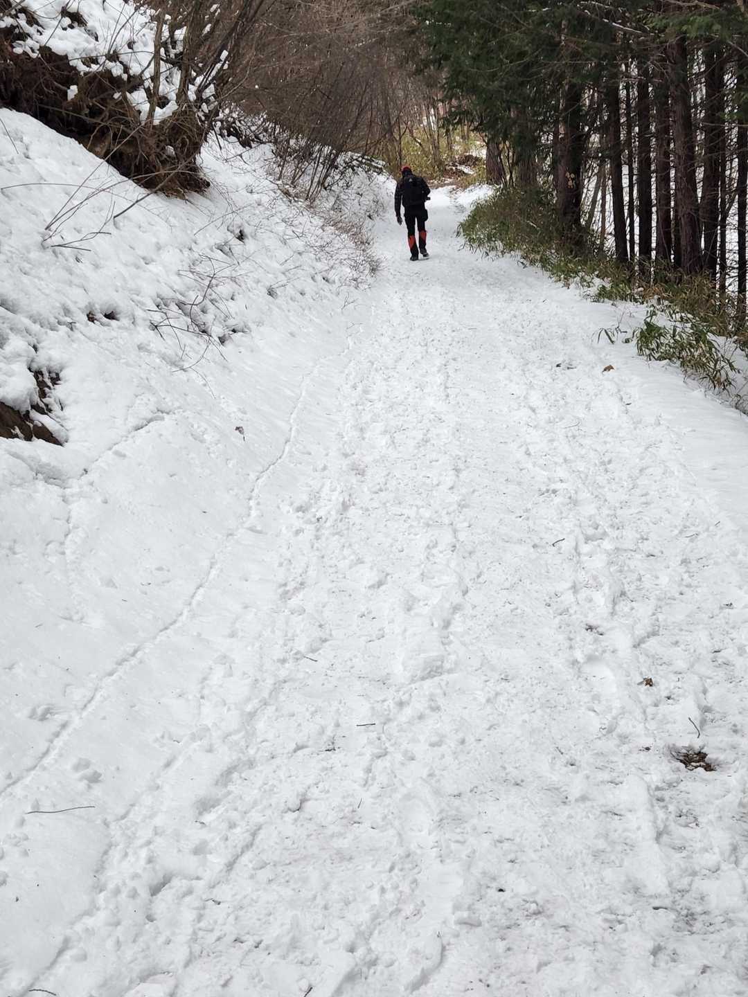 また　雪❄️
