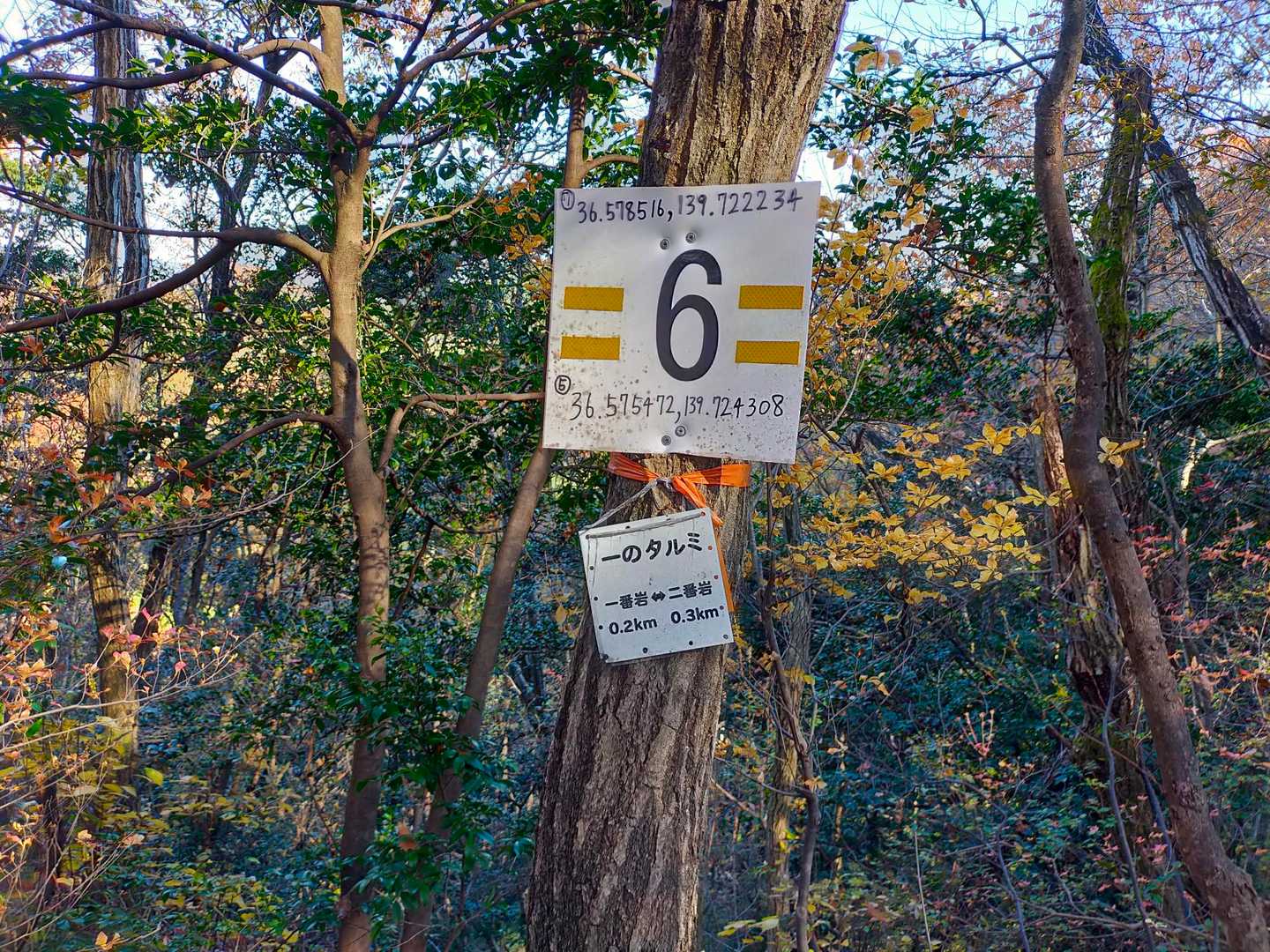 岩山 周回コースの写真