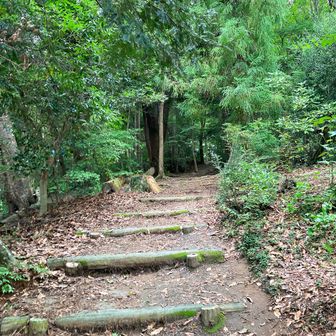 どうも「神変山の山頂標識が立派になった」と勝手に勘違いして登りでも下りでもめっちゃ探してしまった…（当然、なにも見つからず）