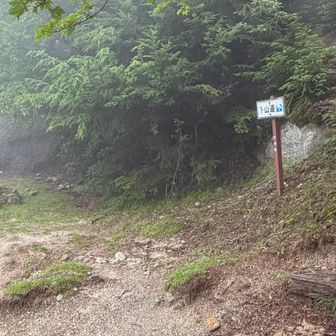 登り一辺倒かと思いきや黒戸山から結構下りてきます
