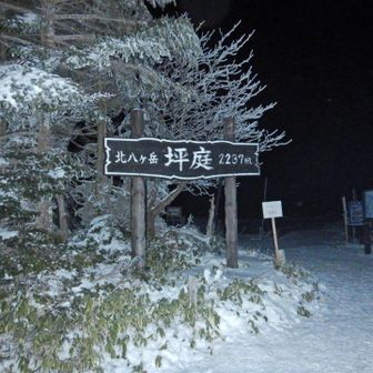 坪庭到着。
真っ暗。
-10℃
いつもの右中指が凍りそうです。
